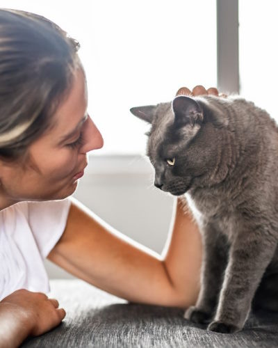 Et si c’était une allergie aux poils de chat ?